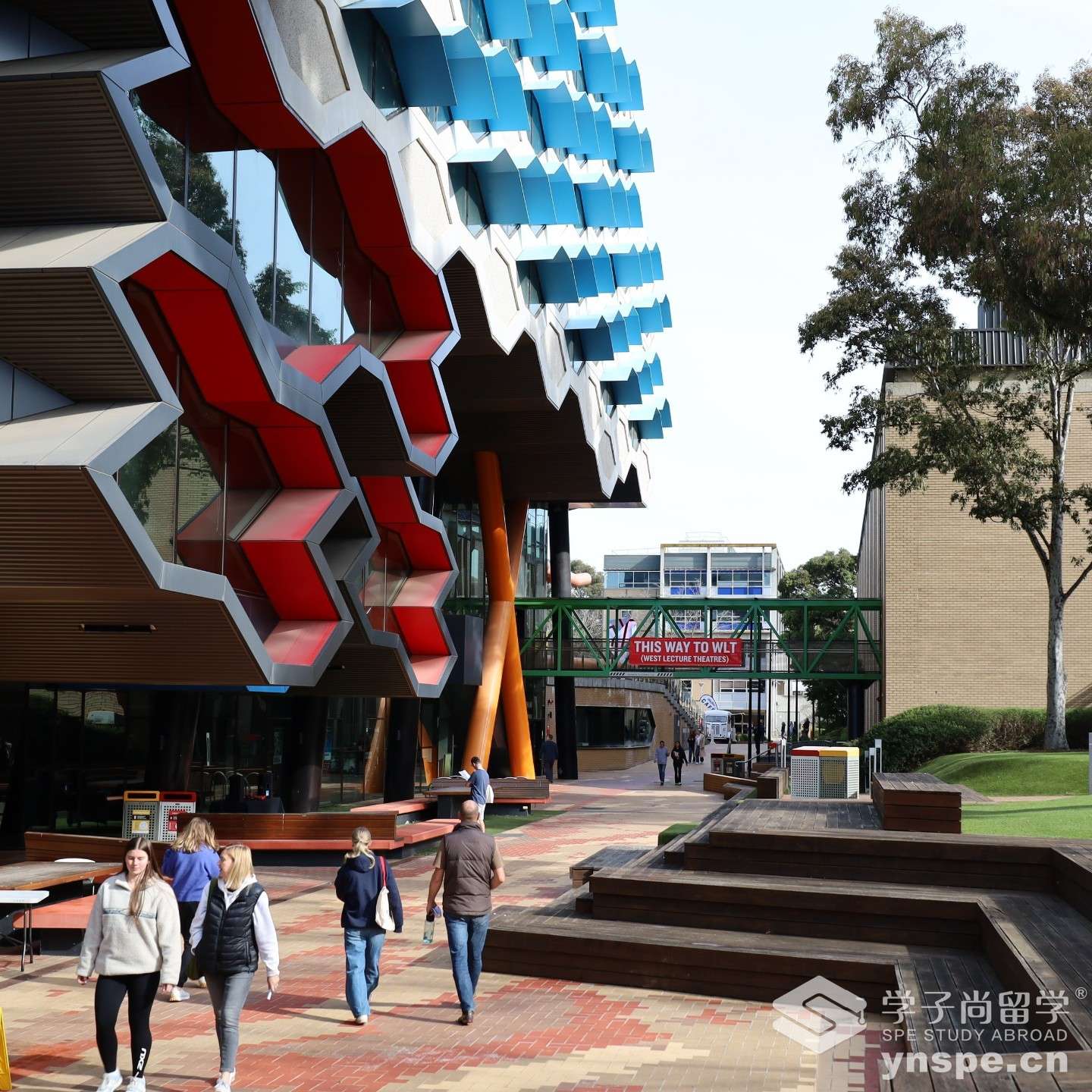 乐卓博大学