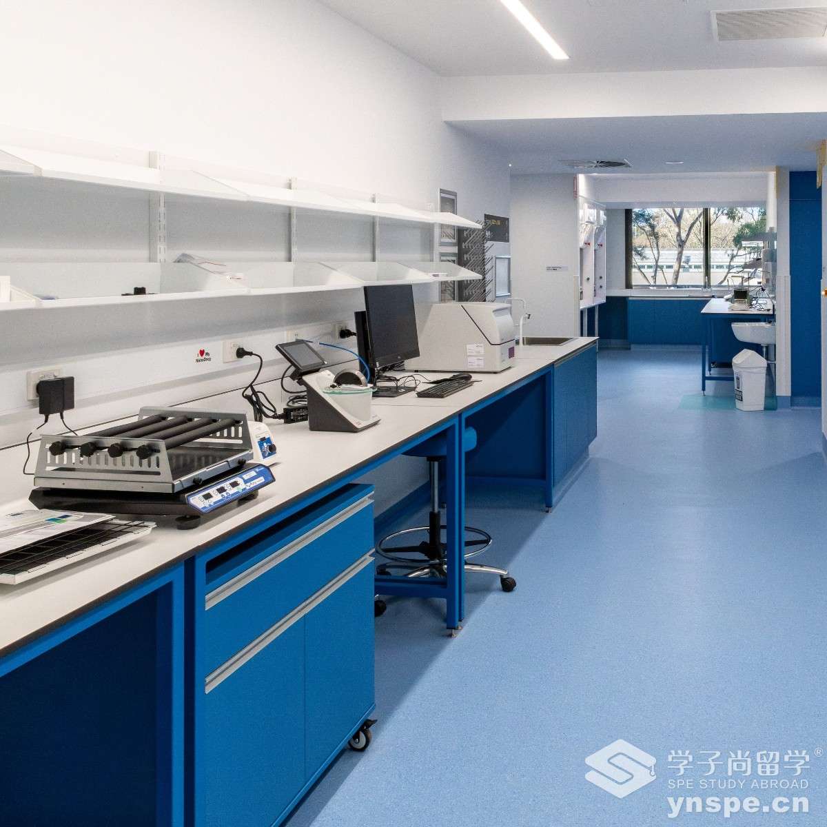 乐卓博大学