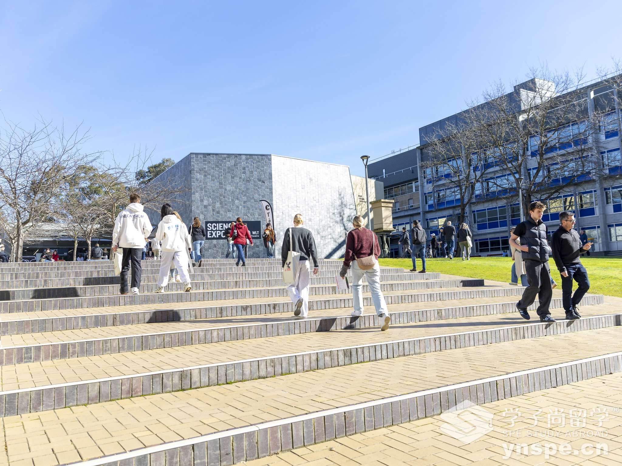 乐卓博大学