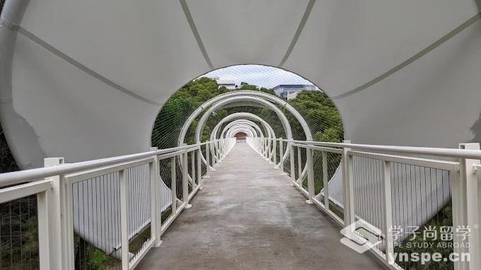 弗林德斯大学