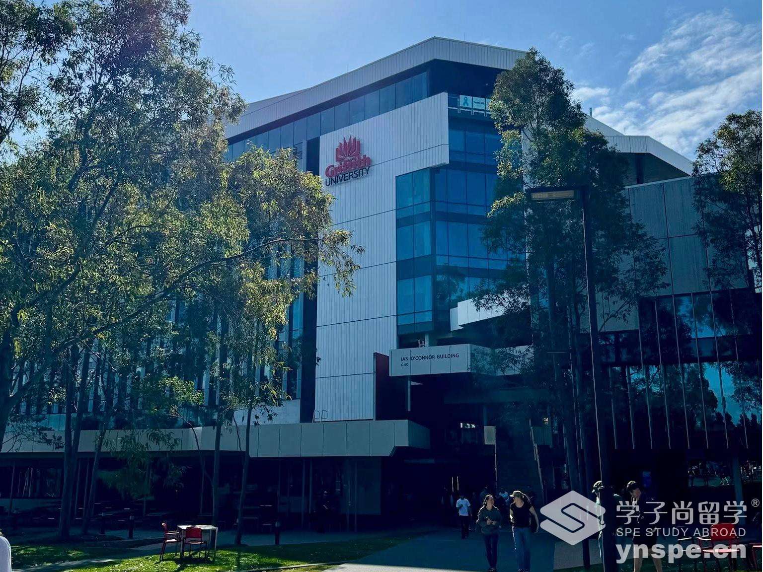 格里菲斯大学