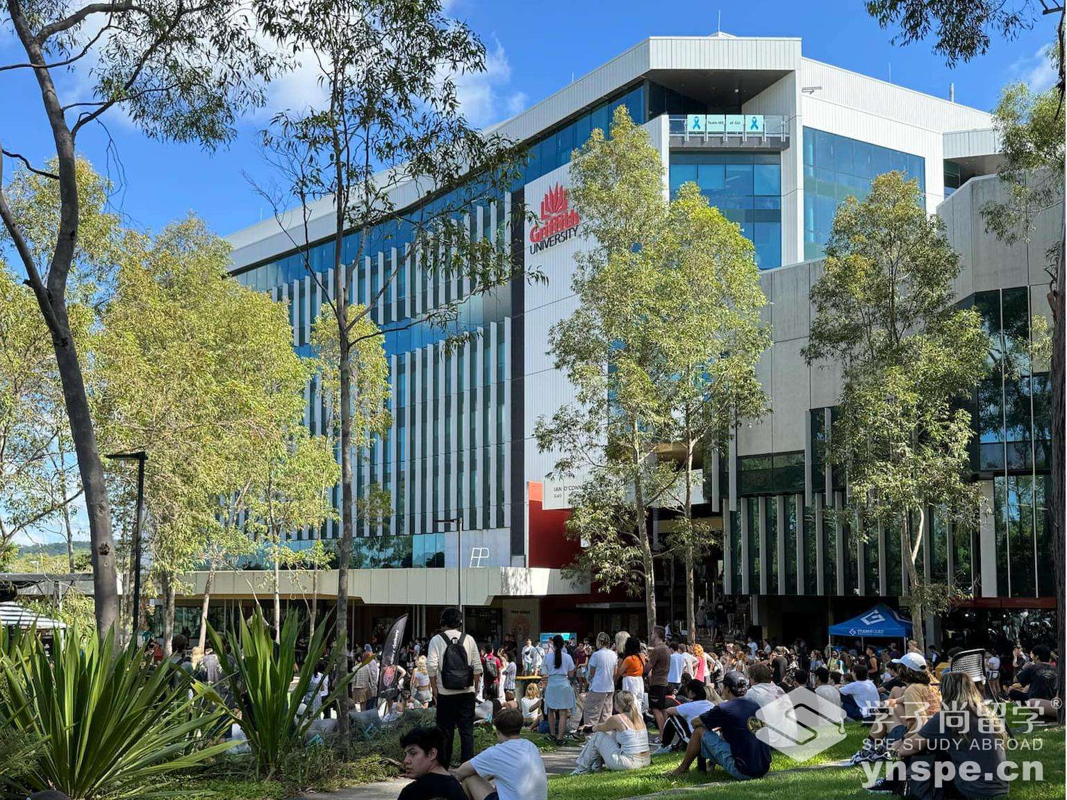 格里菲斯大学