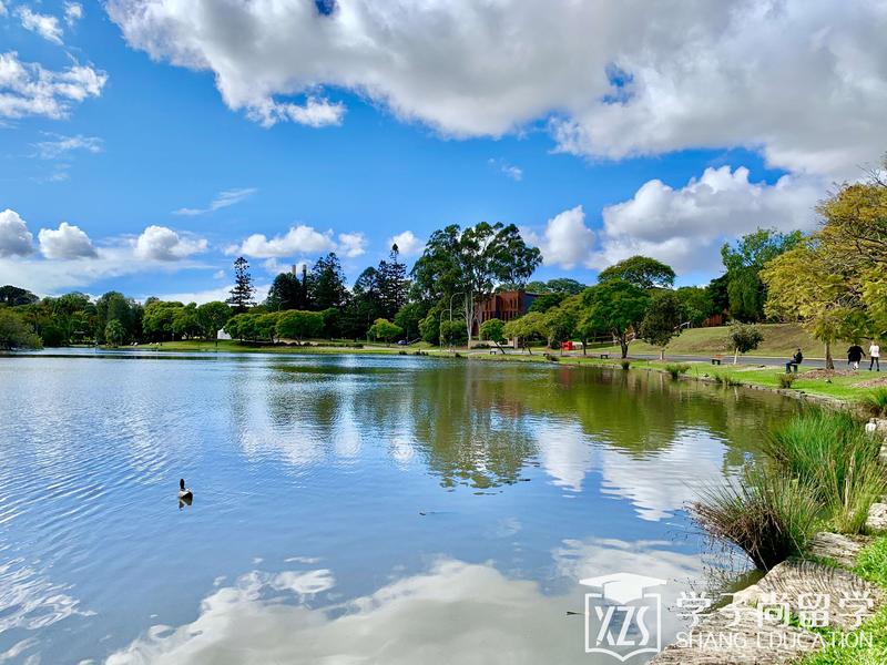 Lake_at_the_University_of_Queensland,_St_Lucia_Campus,_01.jpg