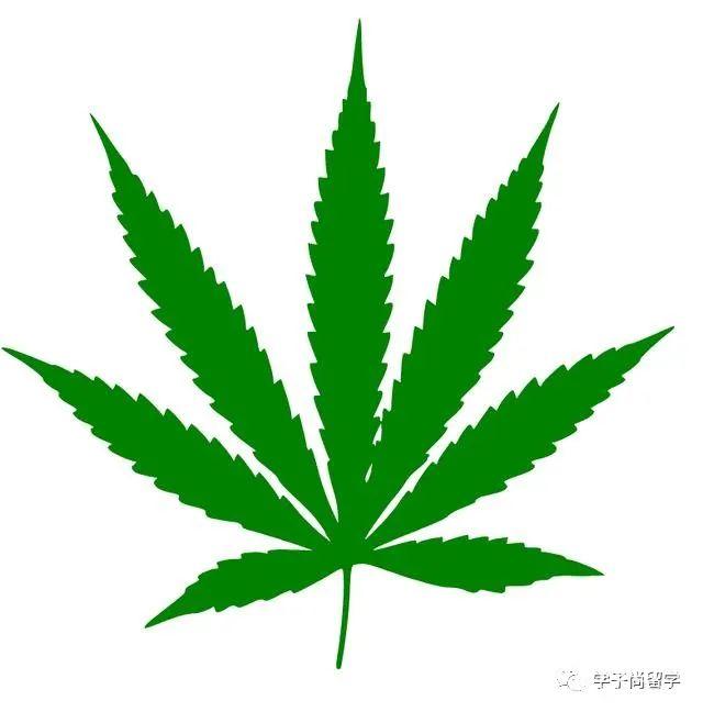 微信图片_20230116140140.jpg