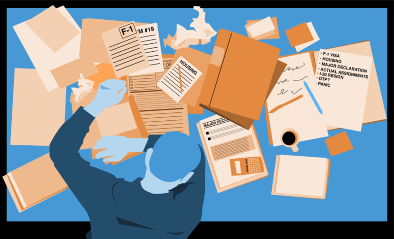 ops-international-students-majors-claire-seka-900x546.png